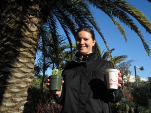 Justina, Plant and Coffee